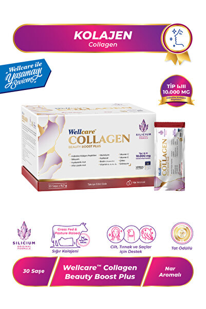 Wellcare كولاجين بيوتي بوست بلس بنكهة الرمان النوع الأول والثالث 10.000 مجم -...