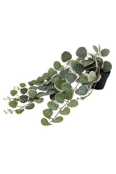 KOÇTAŞ Yapay Bitki Can