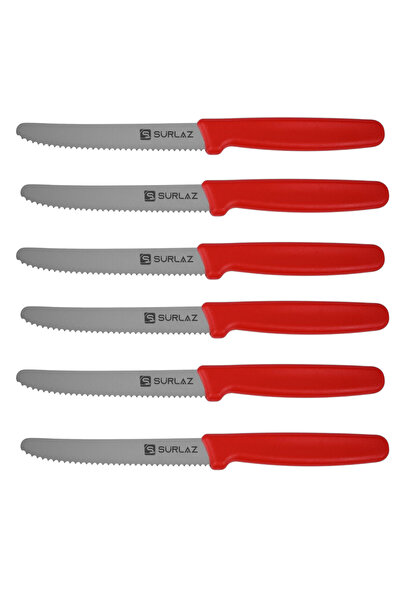 SürLaz Japans Şef Bıçakları Steak Bıçakları 6 Parça Mutfak Bıçak Seti