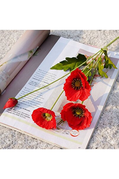 Lilac Home 4lü Kırmızı Gelincik Dalı