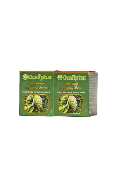ocaliptus Damla Sakızlı Çam Kozalağı Macunu (2 ADET 240gram)