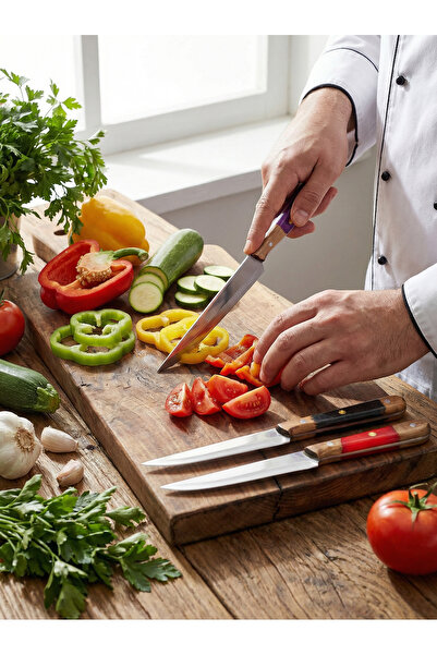 Lazoğlu COLORCUT 3 PARÇA SEBZE BIÇAK SETİ