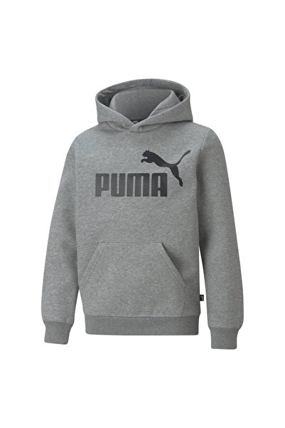 Puma Jungen Hoodie - ESS Big Logo Hoodie, Rundhals, langarm, uni, Kapuze
