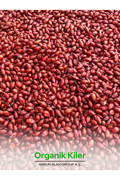Organik Kiler Kuşburnu 1 Kg