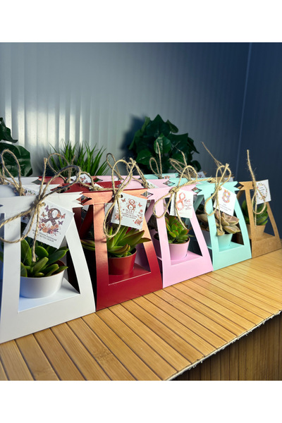 İvgen Çiçekçilik Kadınlar Günü Özel 15 Adet Kare Çanta(Karışık Renk) Süslemel...