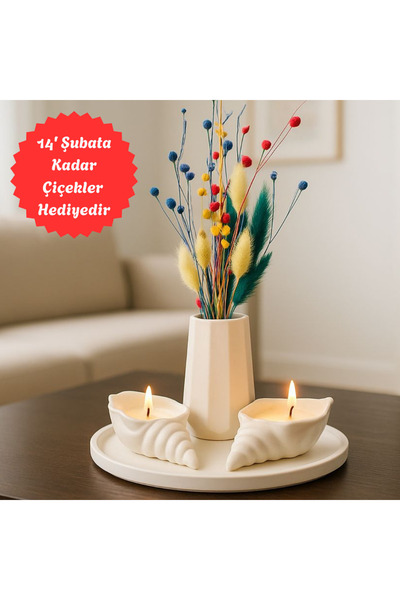 Nigistore Dekoratif 4 Parça Dekoratif Mumlu Set - Hediyelik İstiridye Mumlu, ...