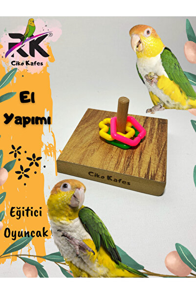 Ciko Kafes Kuş Zeka Oyunu