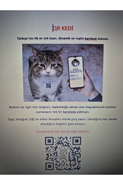 Hazır Kedi Karekodu, QR Kedi, Kedi için QR Kod