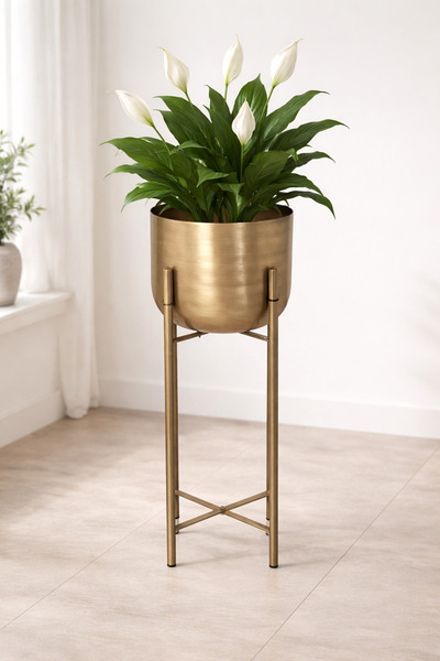 Valda 60 CM ÇAP 25 CM GOLD ESKİTME SAKSILIK