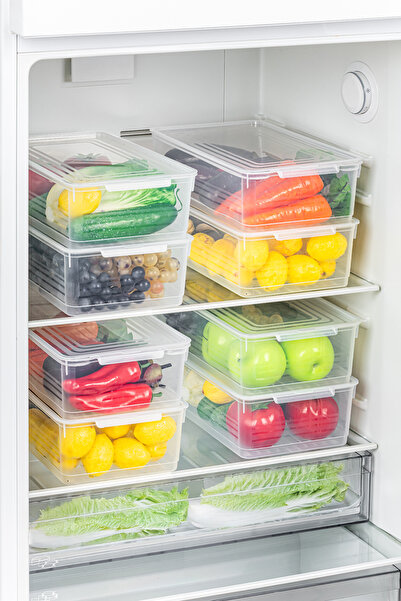 PraticBox 4'lü Set Kapaklı Derin Dondurucuya Uygun Saklama Kabı 5 Litre