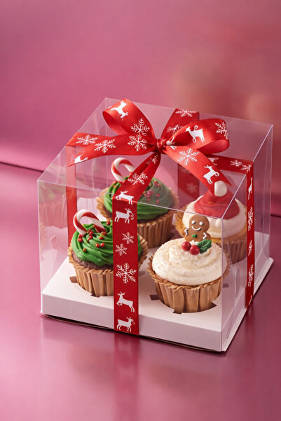 Ege Concept Life 4'lü Şeffaf Asetat Cupcake Kutusu 17x17x11 Muffin ve Kek Kutusu