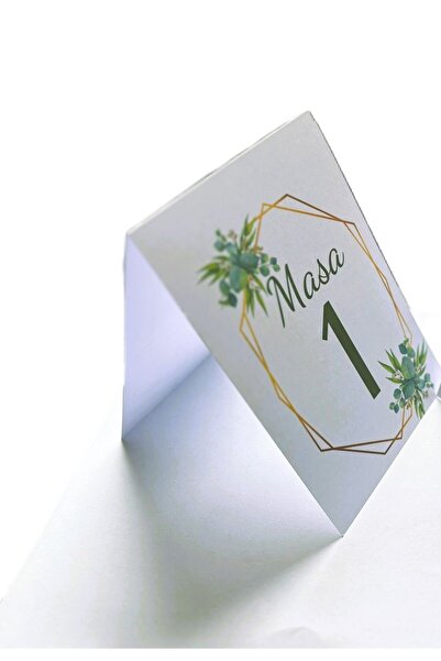 OEM Set numere de masa M8, Carton, Multicolor, 10x15 cm, 20 buc