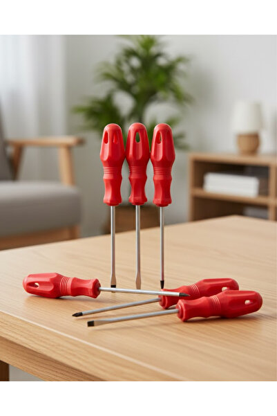 CT STONES Set de 7 șurubelnițe