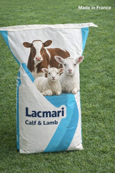 Lacmari KUZU BUZAĞI OĞLAK YETİŞTİRME MAMASI İTAL 5 KG