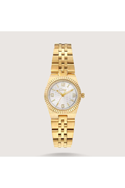 Louis Nice Women's Steel Watch with Eye-Catching Details