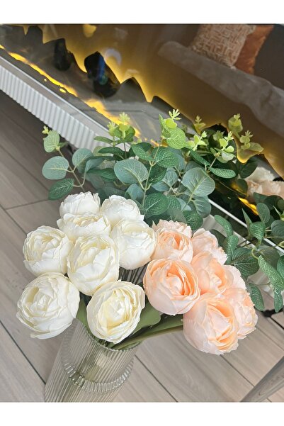 CrossWell Home Premium Okaliptuslu Şakayık - Beyaz ve Somon Renk Salon Bitkisi