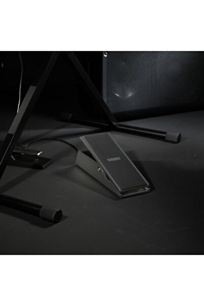 KORG XVP-20 | Expression ve Volüm Pedalı