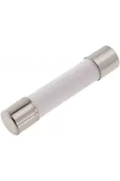 OEM Time-delay fuse 2A 250VAC 5x20 mm cylindrical ceramic SCHURTER 0001.2507