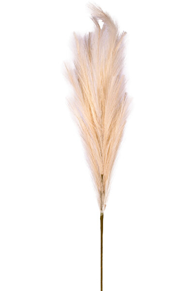 Empressco Yapay Pampas Dal, 108 cm, Şık ve Doğal Görünüm, Dekoratif Bitki Alt...