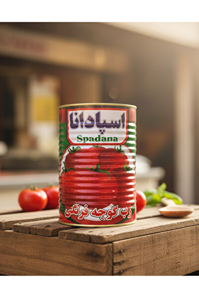 PasajdanBul 4 kg orjinal iran salçası kaliteli güzel salça