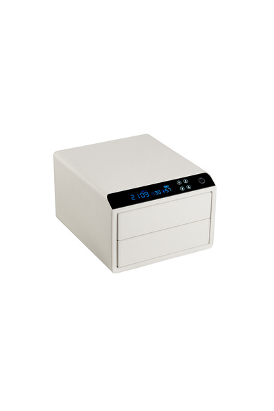Vestal Smart Jewelry Storage Safe Box