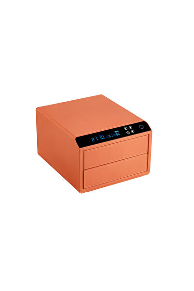 Vestal Smart Jewelry Storage Safe Box