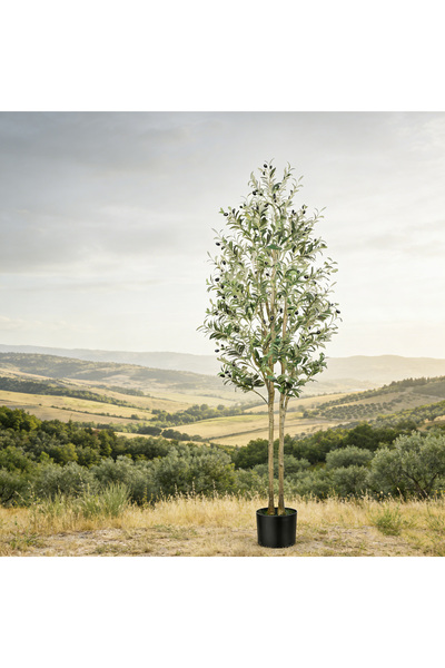 SCHENKERO شجرة زيتون واقعية بطول 210 سم، تُضفي لمسة جمالية فورية على منطقة ال...
