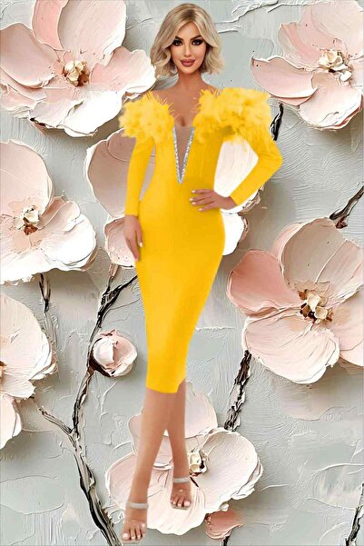 Chanttal ELEGANT DRESS WITH FEATHERS AND ACCESSORY