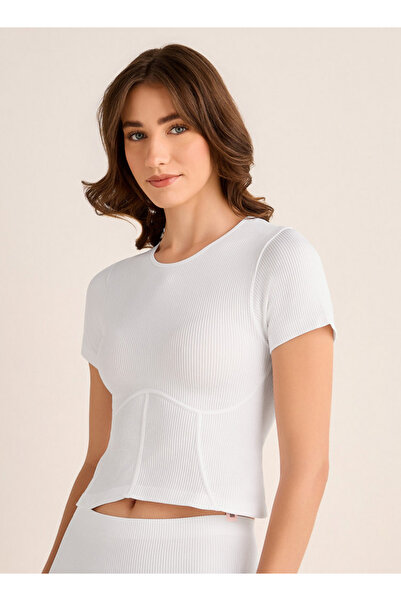 FAV Seamless Ribbed Crop Top