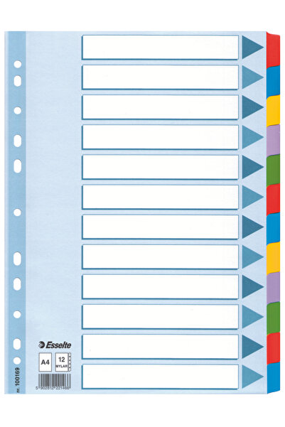 Esselte Cardboard Index Dividers 12 Sheets Mylar