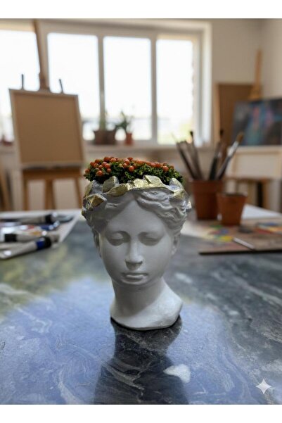 Yades Helen serisi: altın taçlı helen saksıda canlı mercan boncuğu bitkisi