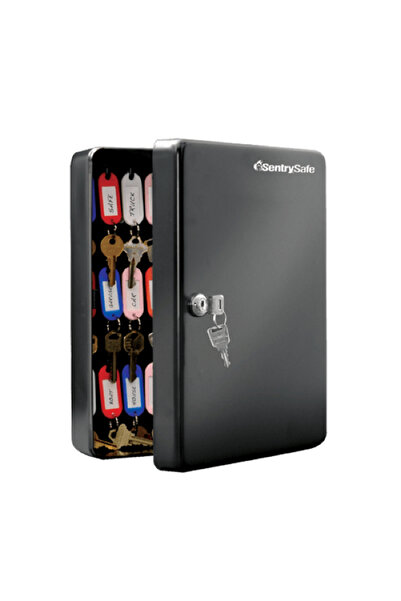 Sentrysafe خزانة مفاتيح من الفولاذ الصلب تحتوي على 50 مفتاحًا مع علامات وملصق...