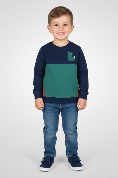 GUPPY Toddlers Boy Colorblock Long Sleeve Sweatshirt, Multicolor