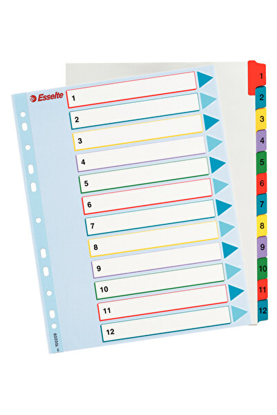 Esselte Rewritable Plastic Index Dividers 1-12