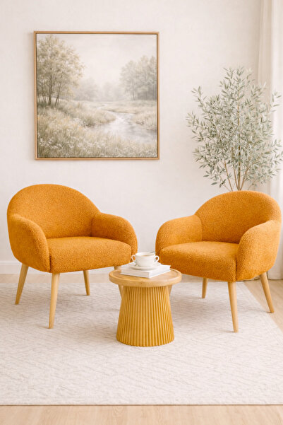 DEKOR MOBİLYACIM Jasmine 2 Berjer Set Ahşap Ayaklı Retro Minimal Berjer Makya...