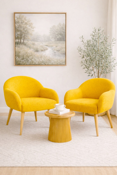 DEKOR MOBİLYACIM Jasmine 2 Berjer Set Ahşap Ayaklı Retro Minimal Berjer Makya...