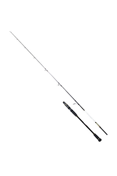 RYUJI Ocean Soul Fuji 1.83M 80-300GR 2P Slow Jig Kamış