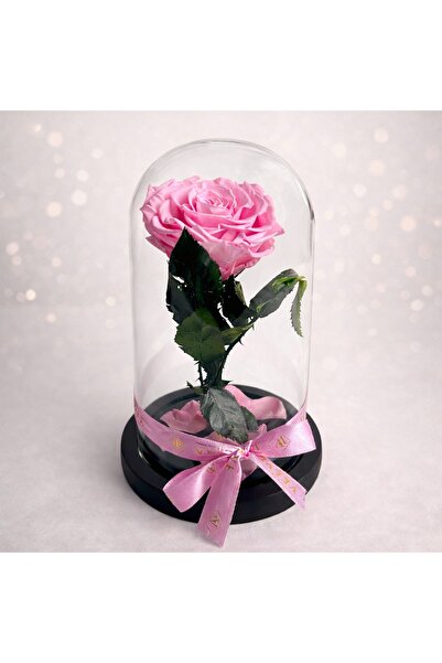 velve Aranjament floral Eternal - trandafir criogenat roz în cupolă de sticlă