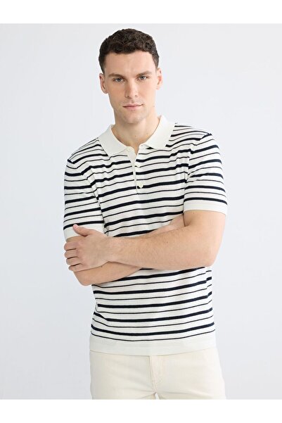 LC Waikiki Lcwaikiki Classic Striped Men's Polo Collar Knit Sweater