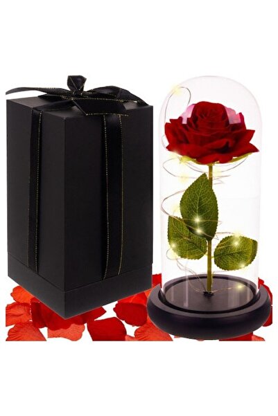 OEM Rose Malatec with Glass Dome and MDF Base