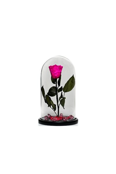 OEM Cryogenated Rose in Glass Dome 30 cm