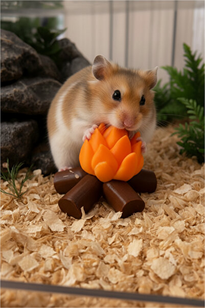 MD×JUA Hamster Oyuncagı Diş Sağlıgı için Önerilir. Yavru ve Yetişkin Hamsterl...