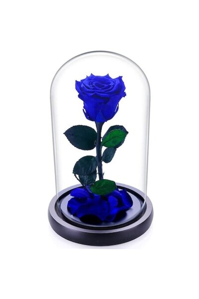 OEM XL Blue Cryogenic Rose in Glass Dome