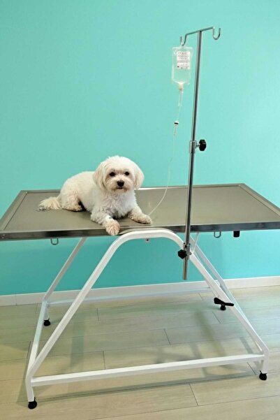 Kozmobed Veteriner Muayene Masası