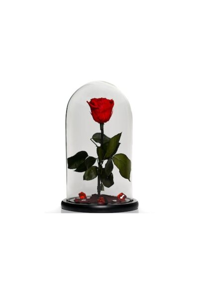 OEM Cryogenated Rose in Glass Dome 30 cm on Black Base and Cameo Brooch, Red