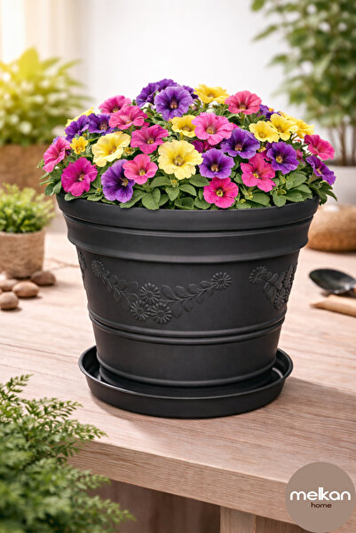 Melkan Home Papatya Desenli Dekoratif Siyah Saksı 7,3 Litre Dayanıklı Çiçek S...