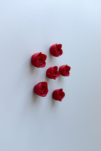 sin istanbul 6'lı Gül Buzdolabı Magneti