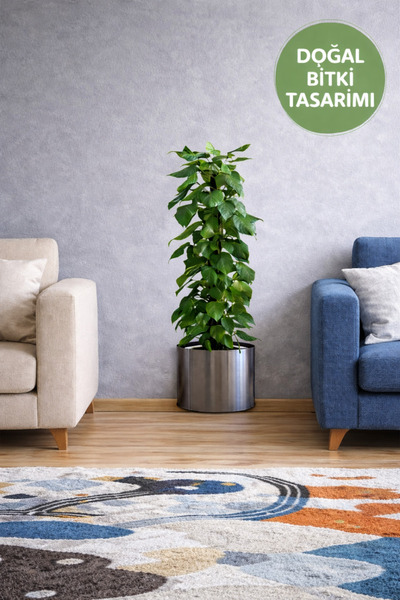 TOYFEST Настінна наклейка з рослинним дизайном 90x30 см – декоративна настінн...