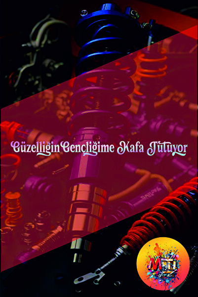 sticker Güzelliğin Gençliğime Kafa Tutuyor Yazılı Araba Cam Oto Arka Cam Etik...