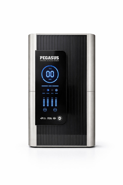 Pegasus Alkali İyonizer